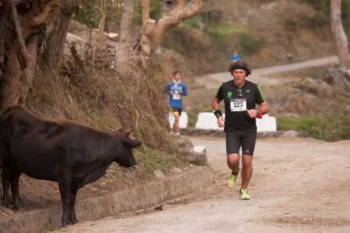 BHUTAN MARATHON AND HALF 2014